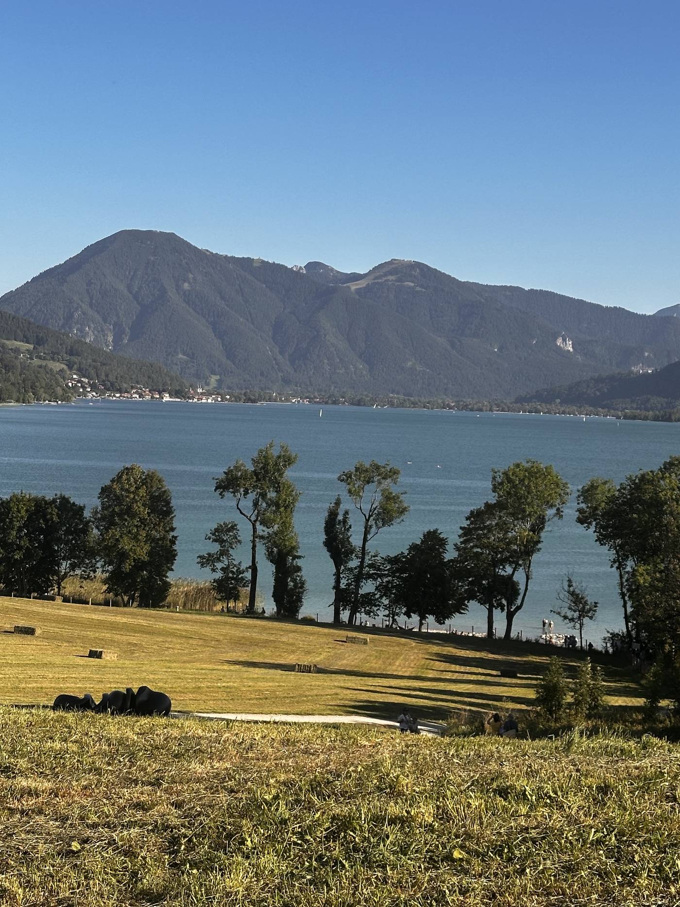 Wiesen und Seehorizont in der Region Tegernsee